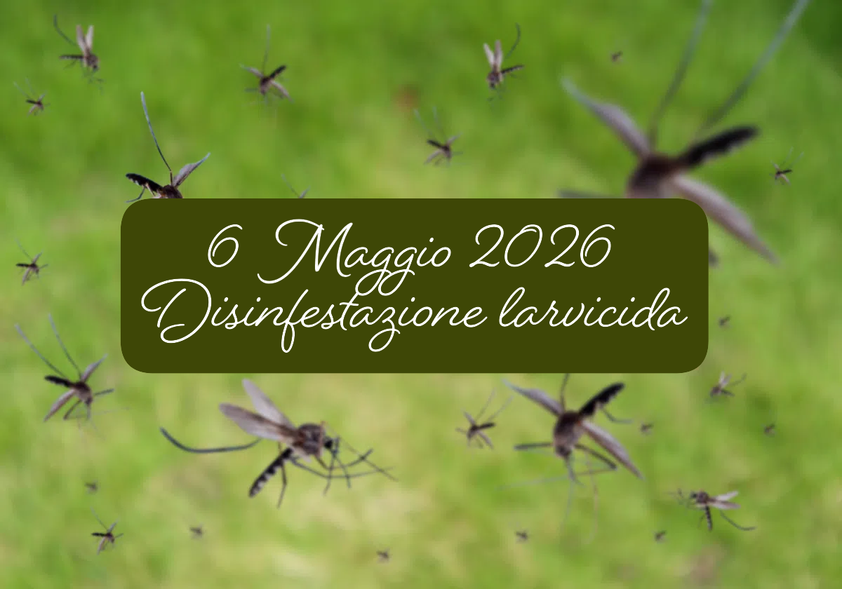 Disinfestazione Zanzare